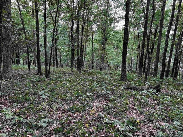 Lot 39 Bluff View Drive Property Photo 6
