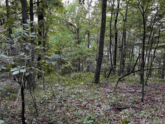 Lot 39 Bluff View Drive Property Photo 7