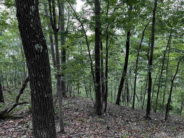 Lot 39 Bluff View Drive Property Photo 8