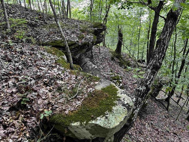 Lot 39 Bluff View Drive Property Photo 9