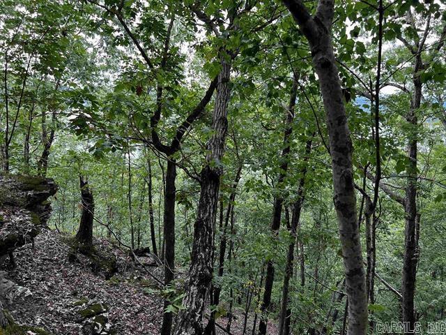 Lot 39 Bluff View Drive Property Photo 10