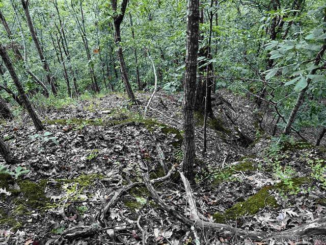 Lot 39 Bluff View Drive Property Photo 11