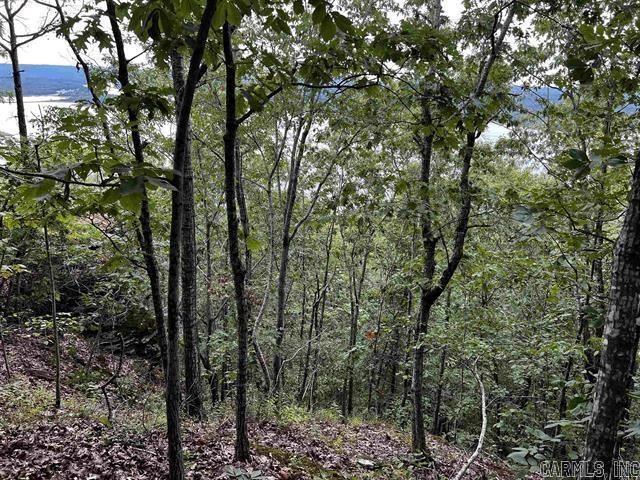 Lot 39 Bluff View Drive Property Photo 12
