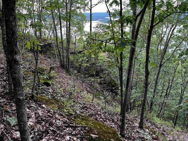 Lot 39 Bluff View Drive Property Photo 13