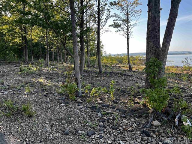 Lot 39 Bluff View Drive Property Photo 19