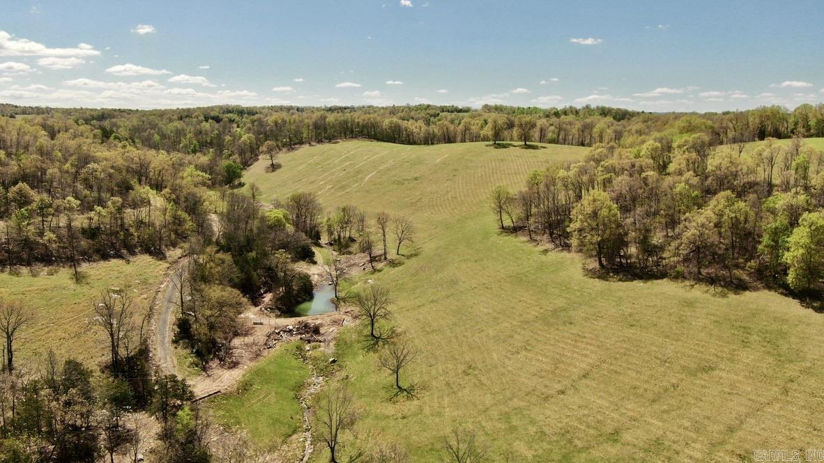 79.50 Ac. (+/-) Crochet Road Property Photo 1