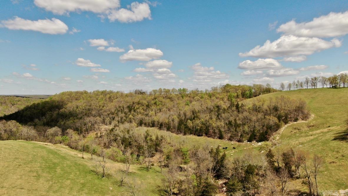 79.50 Ac. (+/-) Crochet Road Property Photo 2