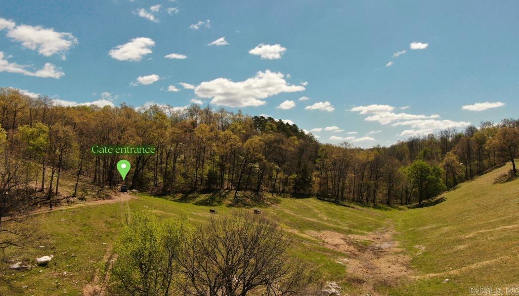 79.50 Ac. (+/-) Crochet Road Property Photo 3