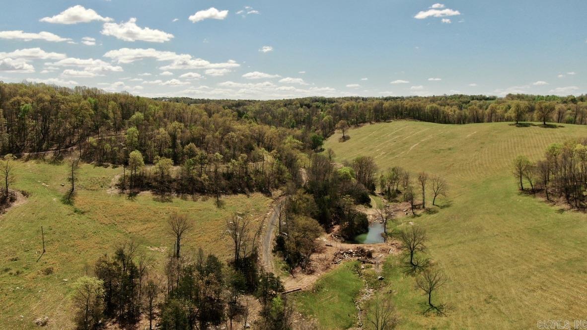 79.50 Ac. (+/-) Crochet Road Property Photo 4