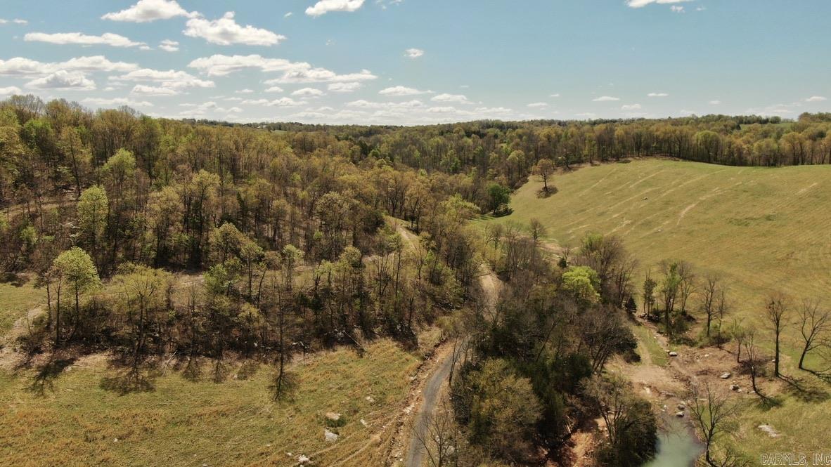 79.50 Ac. (+/-) Crochet Road Property Photo 5