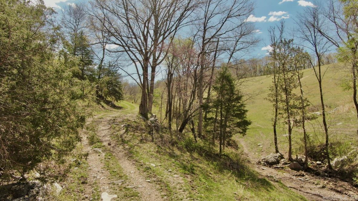79.50 Ac. (+/-) Crochet Road Property Photo 6