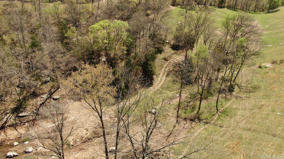 79.50 Ac. (+/-) Crochet Road Property Photo 7