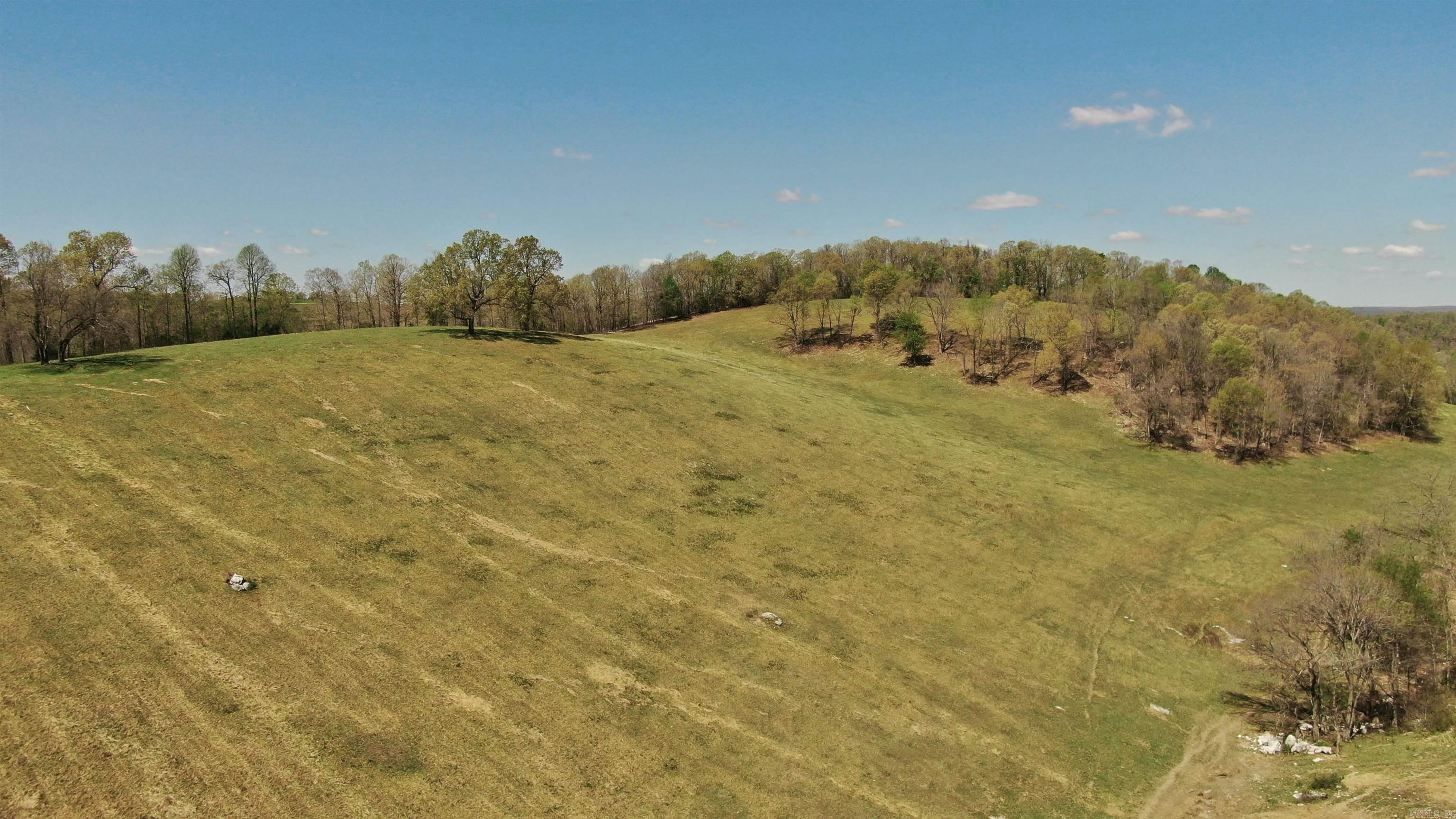 79.50 Ac. (+/-) Crochet Road Property Photo 9