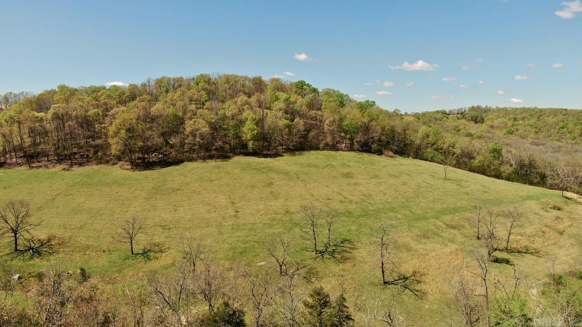 79.50 Ac. (+/-) Crochet Road Property Photo 10