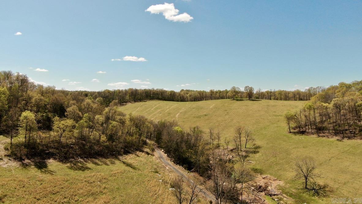 79.50 Ac. (+/-) Crochet Road Property Photo 11