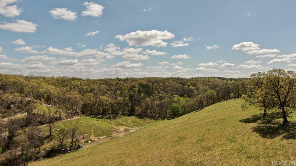 79.50 Ac. (+/-) Crochet Road Property Photo 12