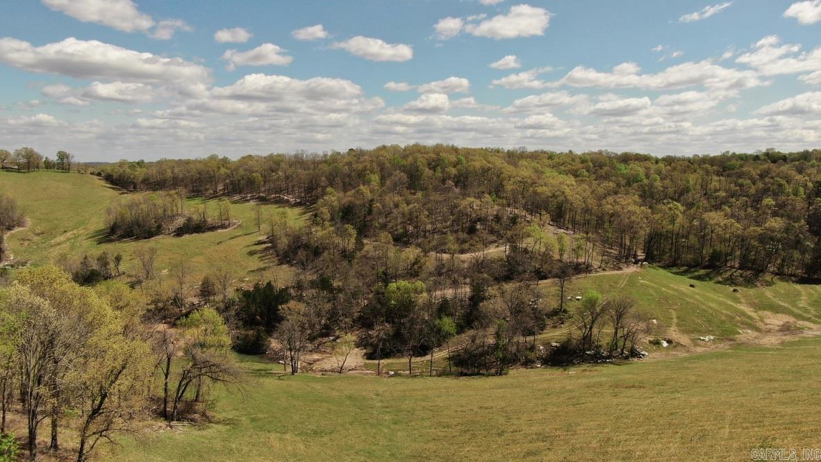 79.50 Ac. (+/-) Crochet Road Property Photo 13