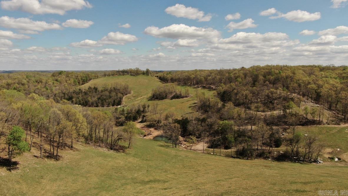 79.50 Ac. (+/-) Crochet Road Property Photo 14
