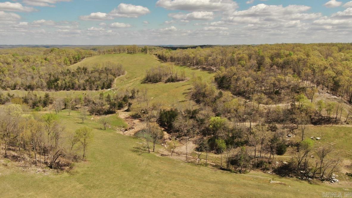 79.50 Ac. (+/-) Crochet Road Property Photo 15
