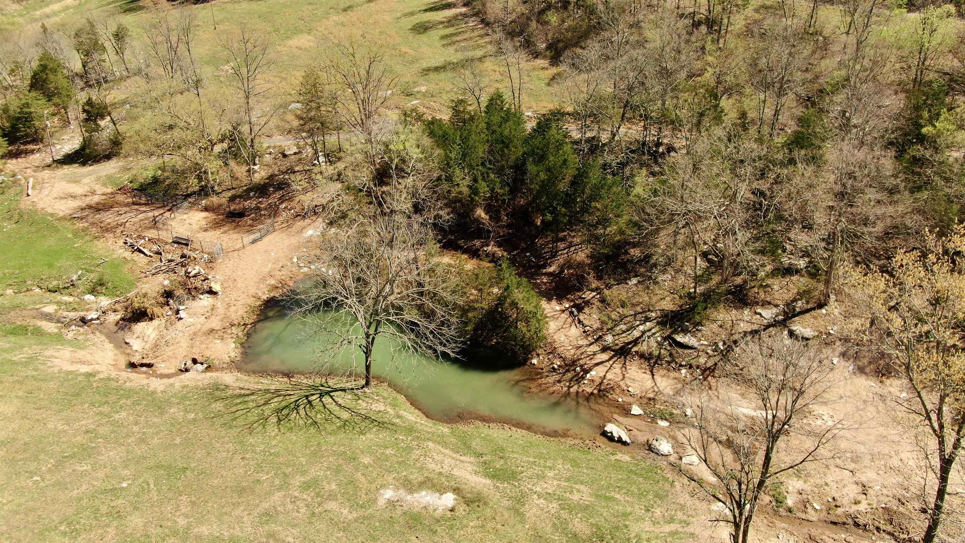 79.50 Ac. (+/-) Crochet Road Property Photo 16