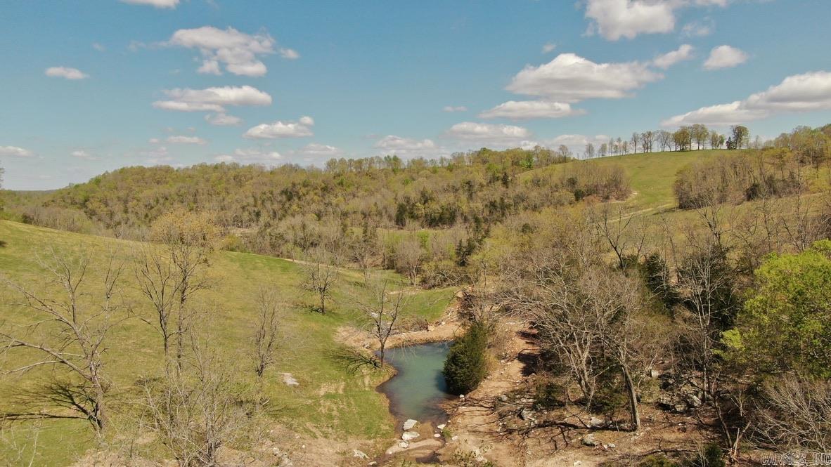 79.50 Ac. (+/-) Crochet Road Property Photo 17