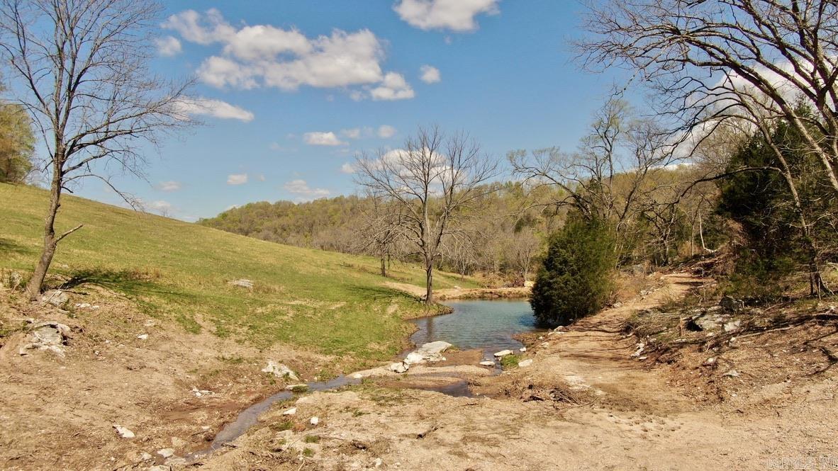 79.50 Ac. (+/-) Crochet Road Property Photo 18