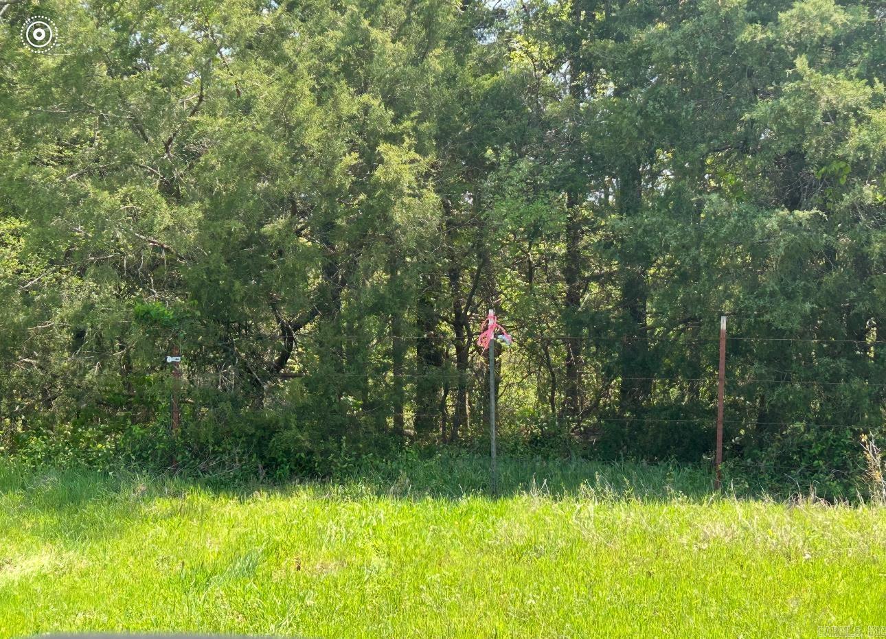 000 Hwy 310 Highway Property Photo 4
