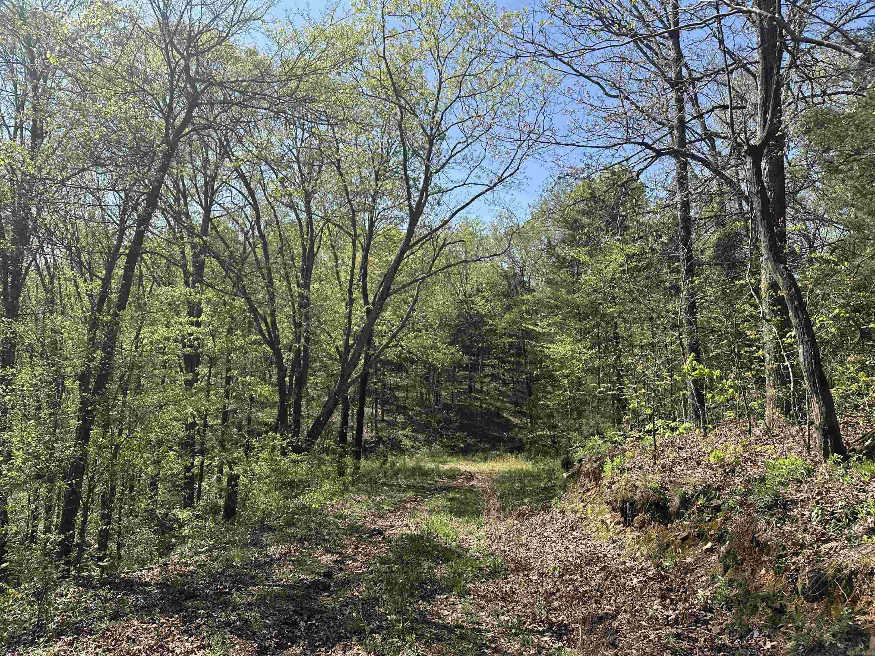 000 Hwy 310 Highway Property Photo 7