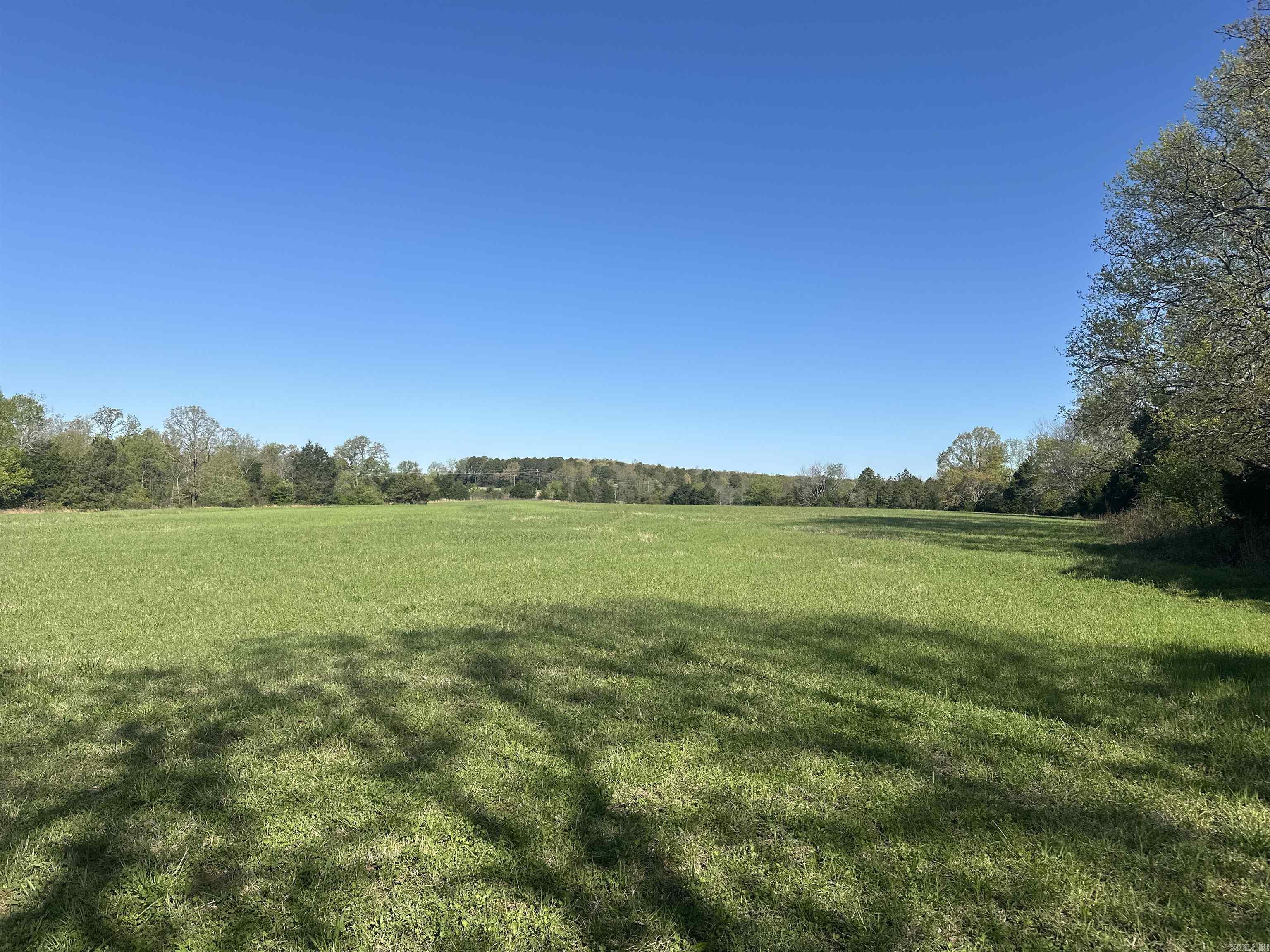 000 Hwy 310 Highway Property Photo 8