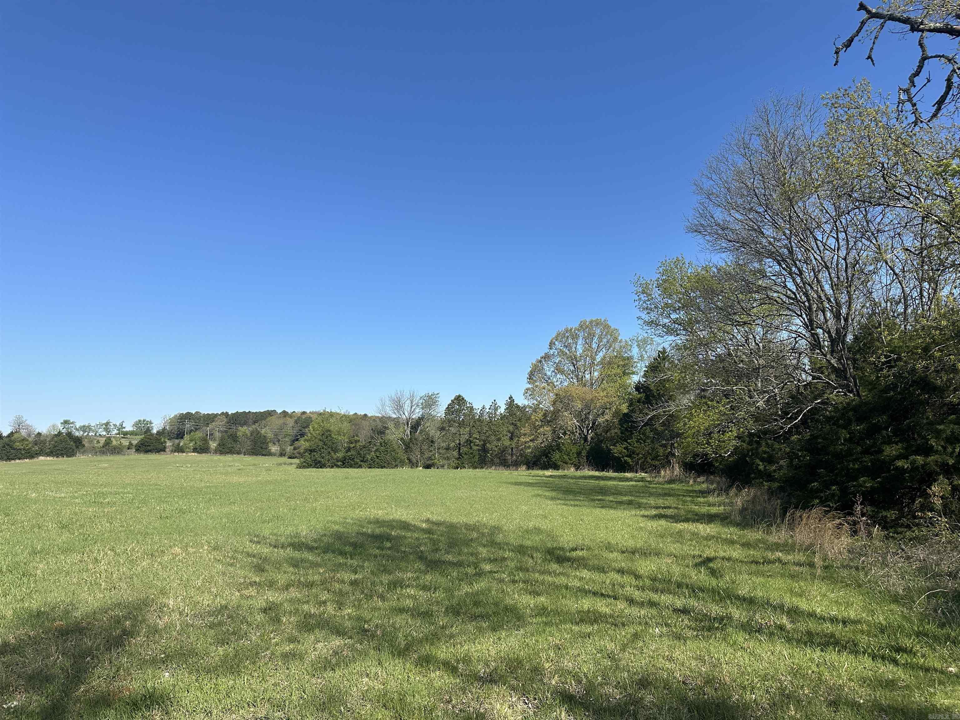 000 Hwy 310 Highway Property Photo 9
