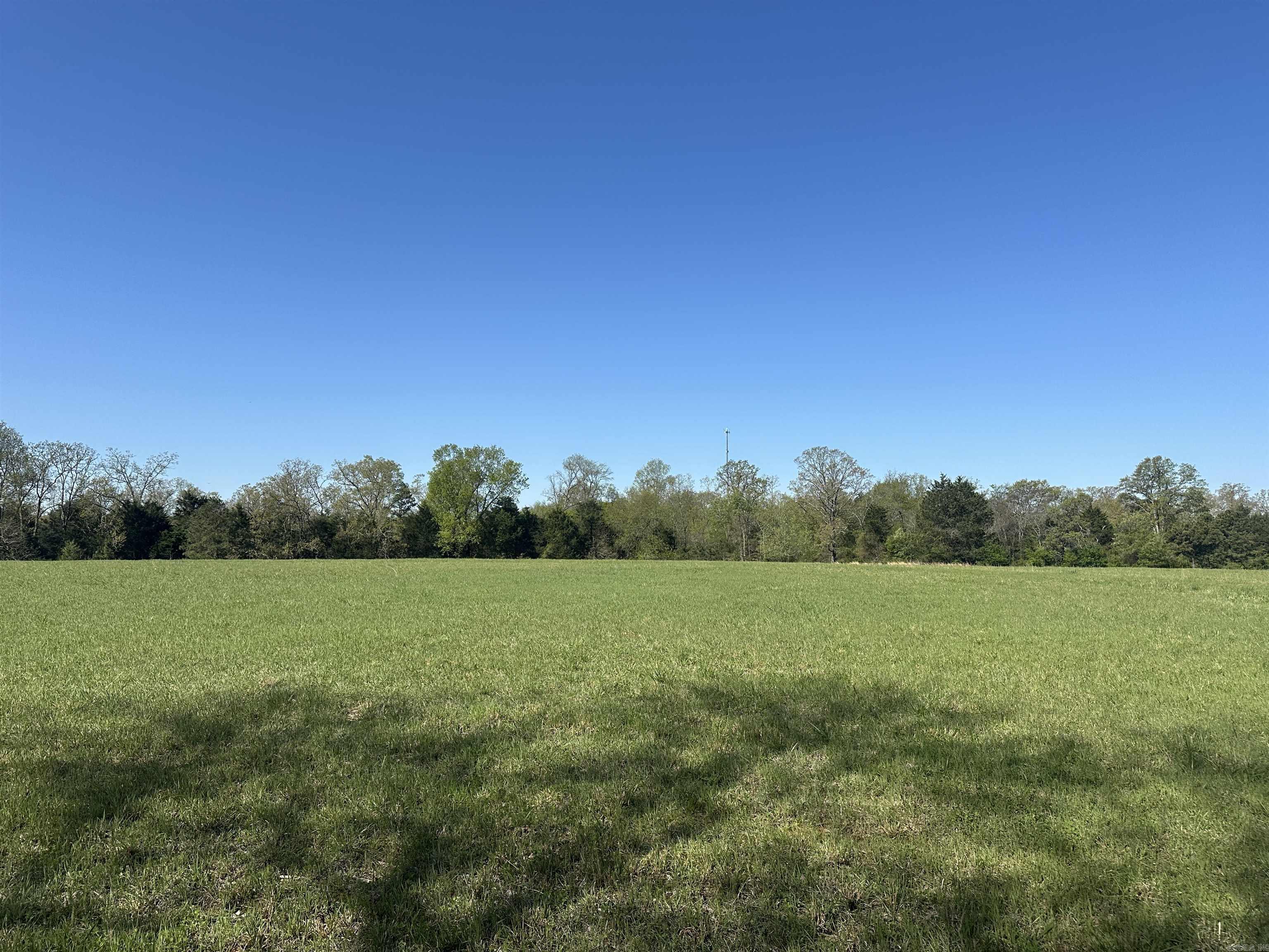 000 Hwy 310 Highway Property Photo 10