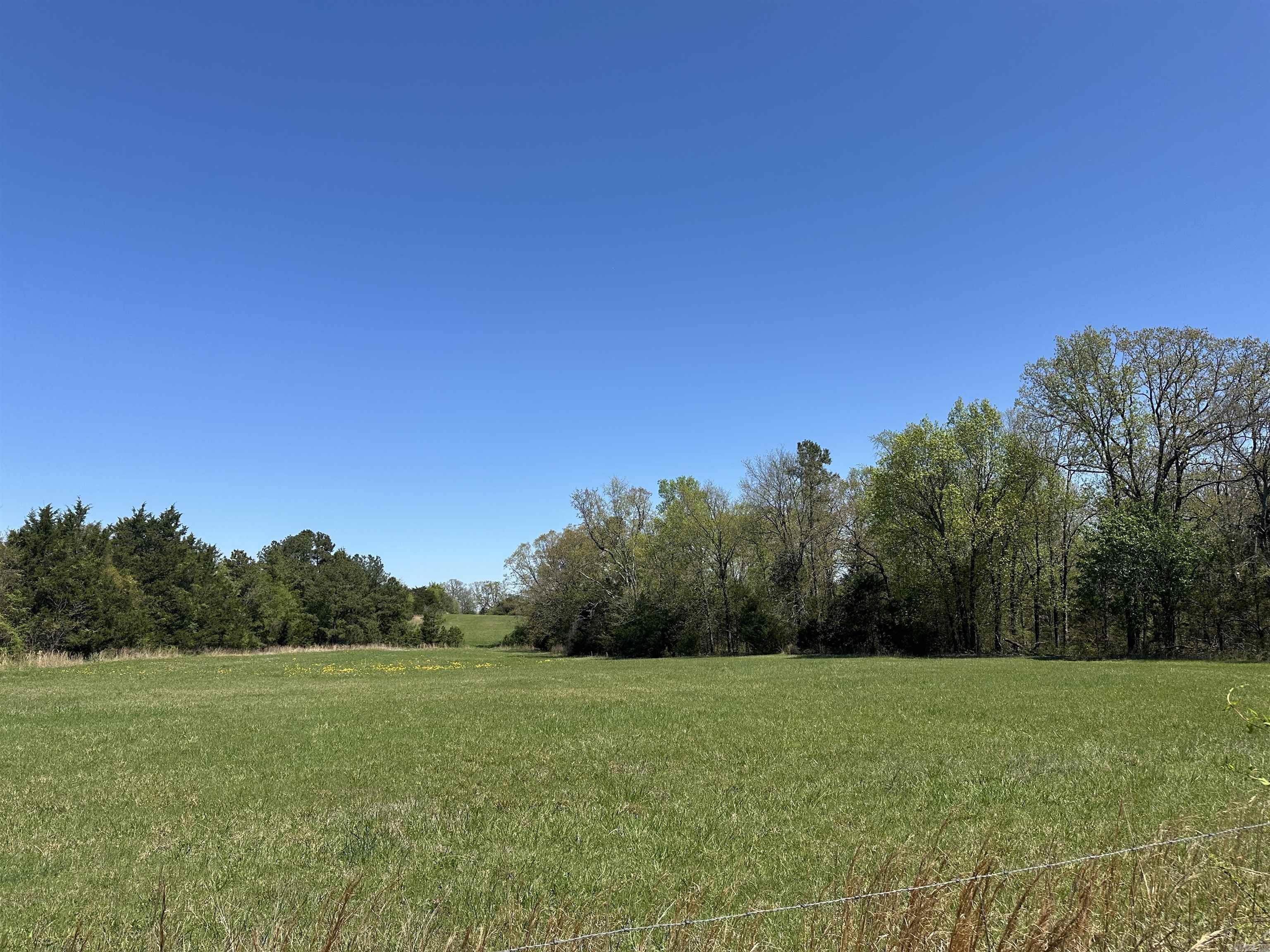 000 Hwy 310 Highway Property Photo 12