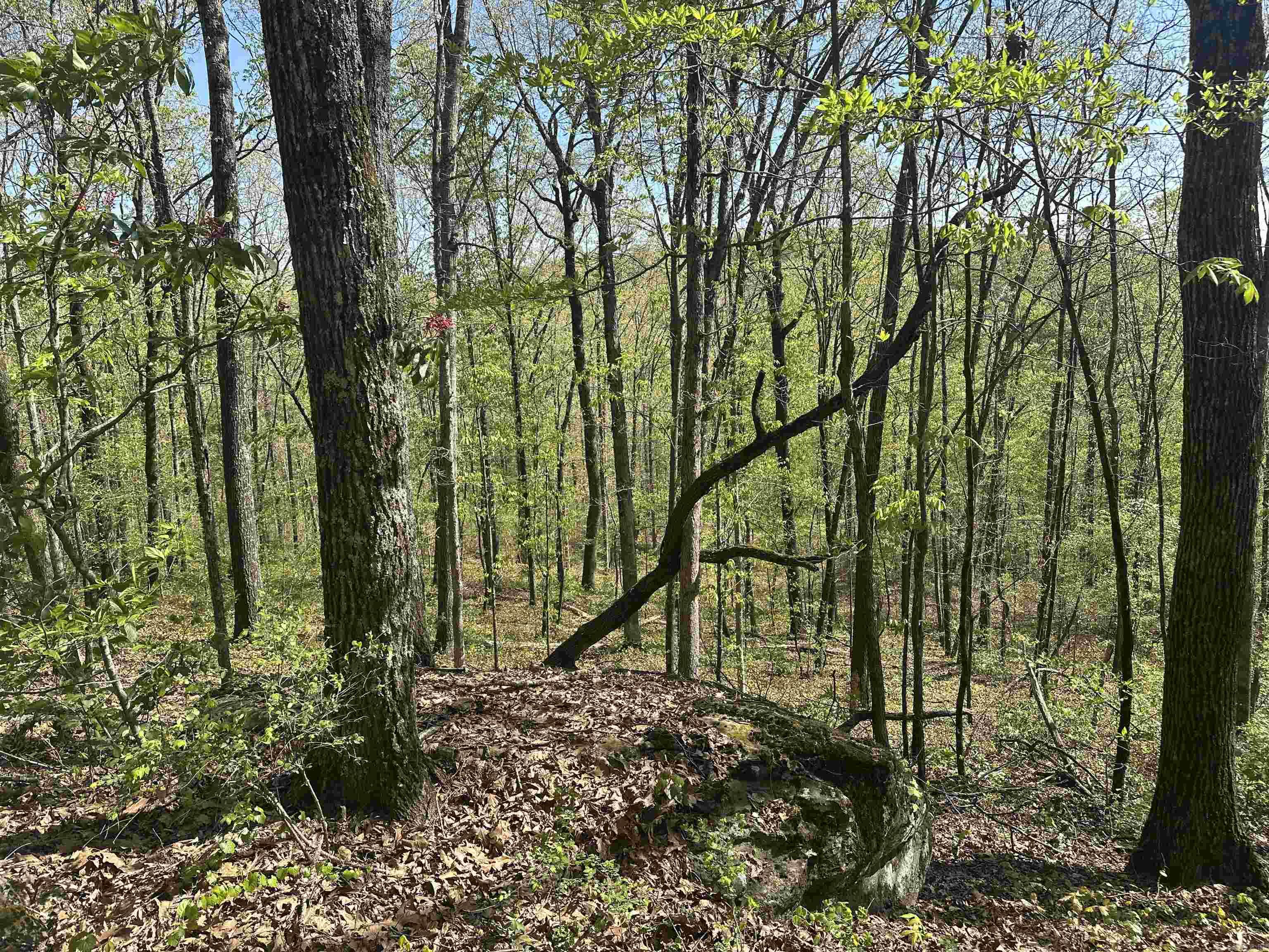 000 Hwy 310 Highway Property Photo 14