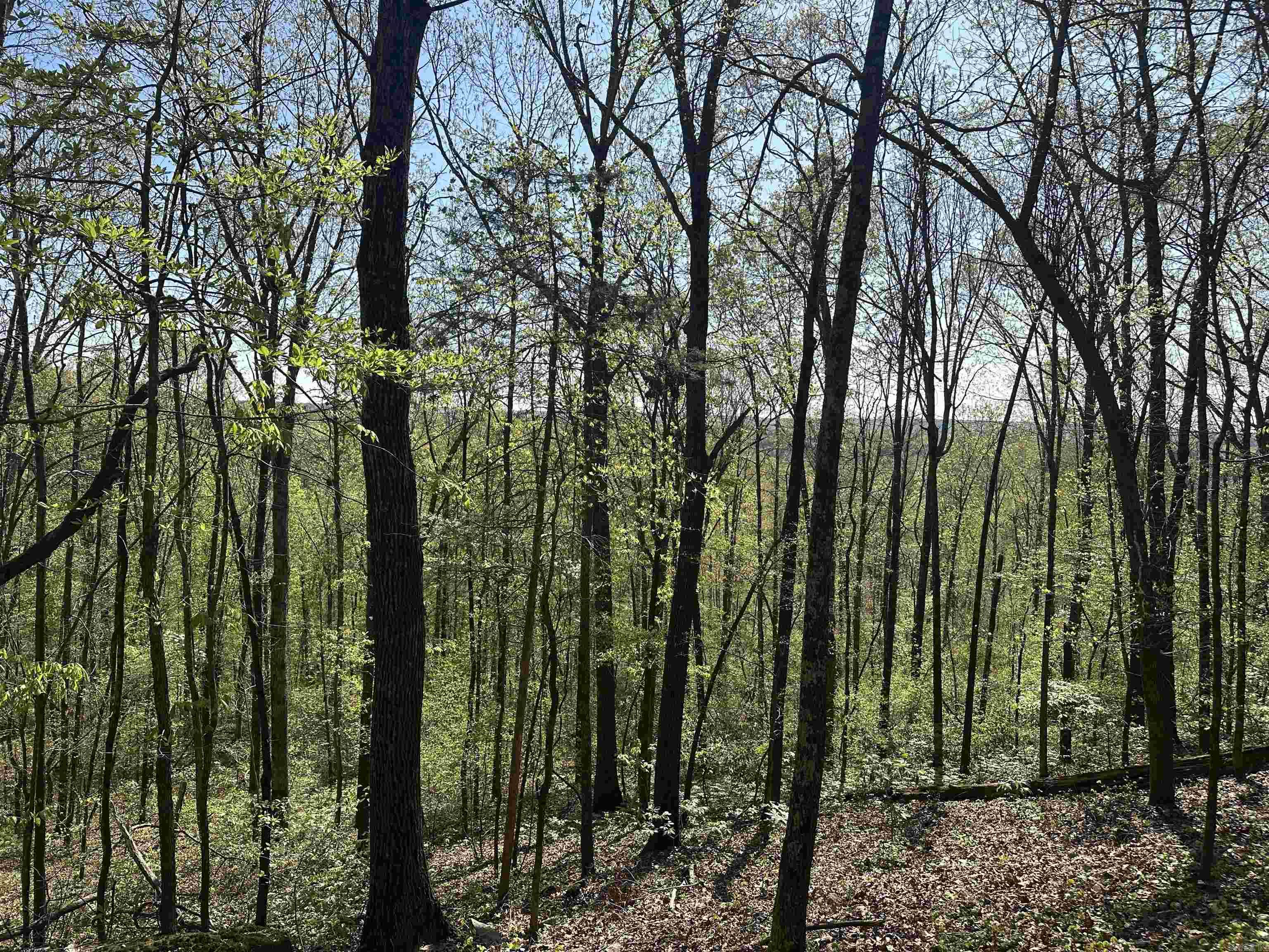 000 Hwy 310 Highway Property Photo 15