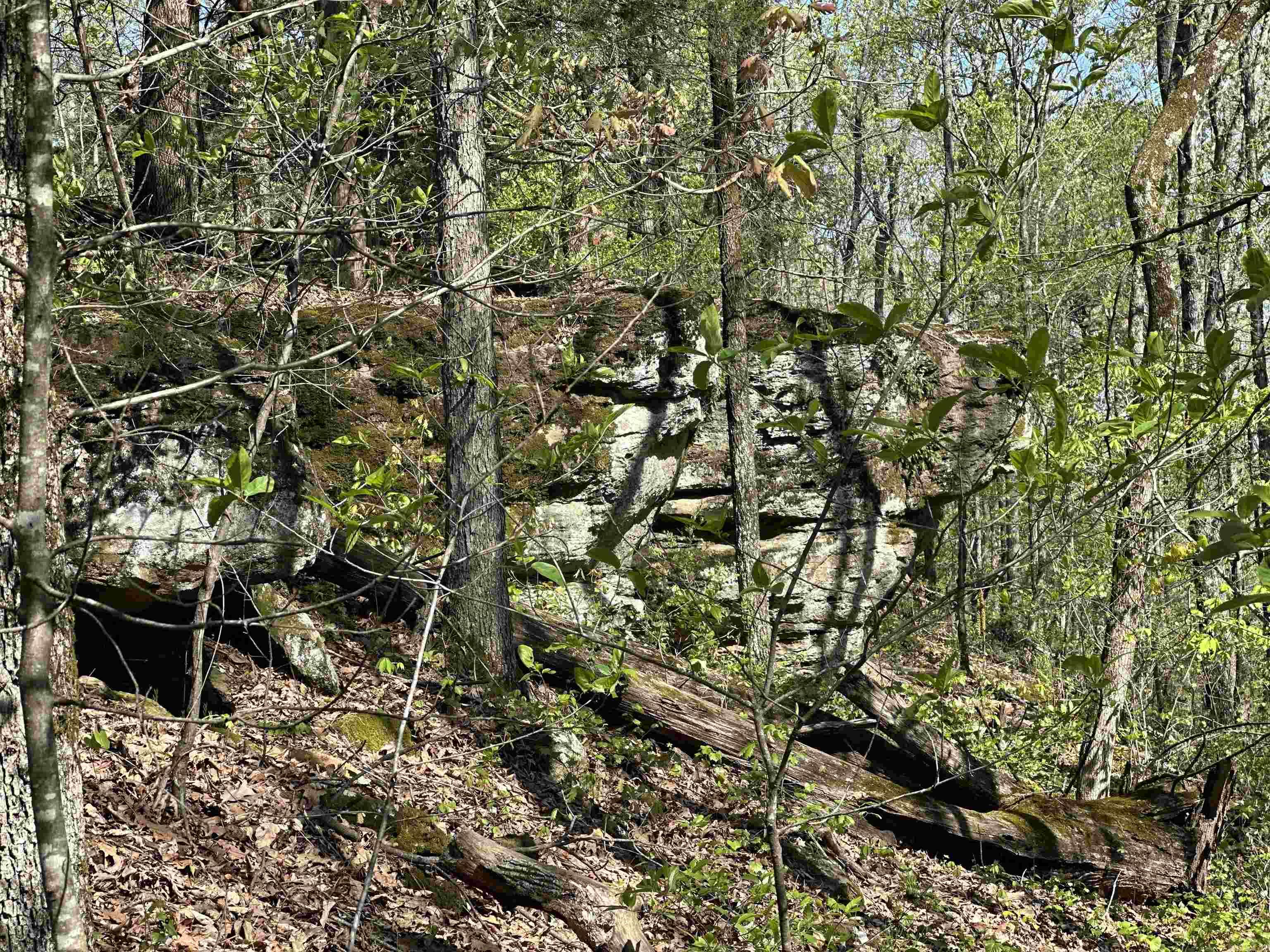 000 Hwy 310 Highway Property Photo 16