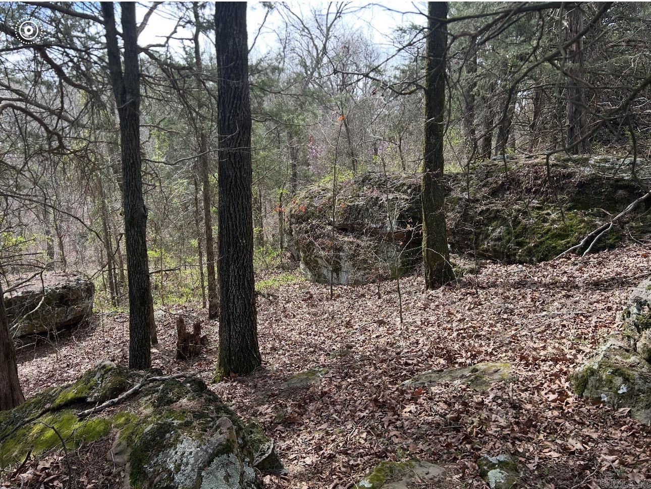 000 Hwy 310 Highway Property Photo 19