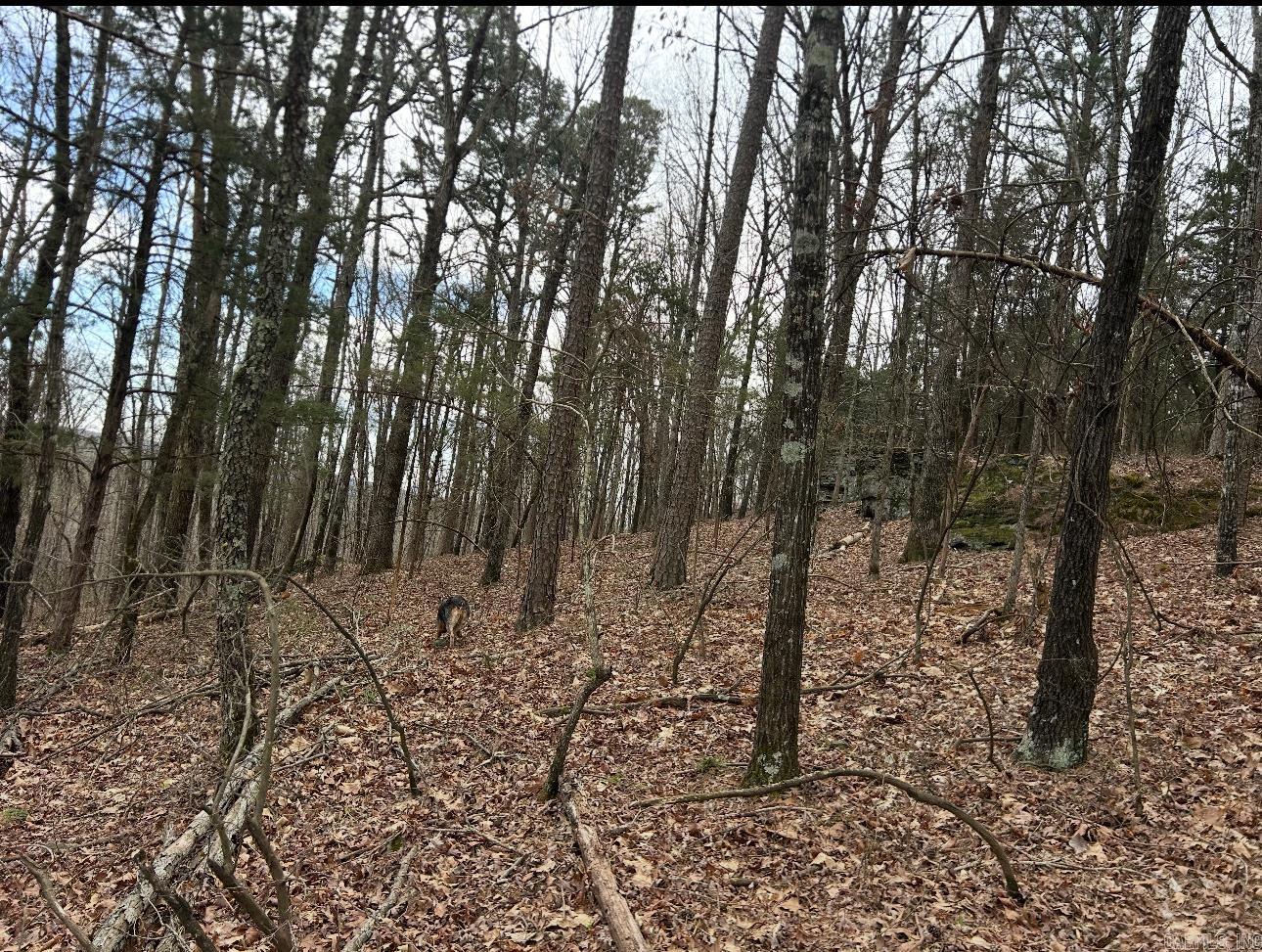 000 Hwy 310 Highway Property Photo 20