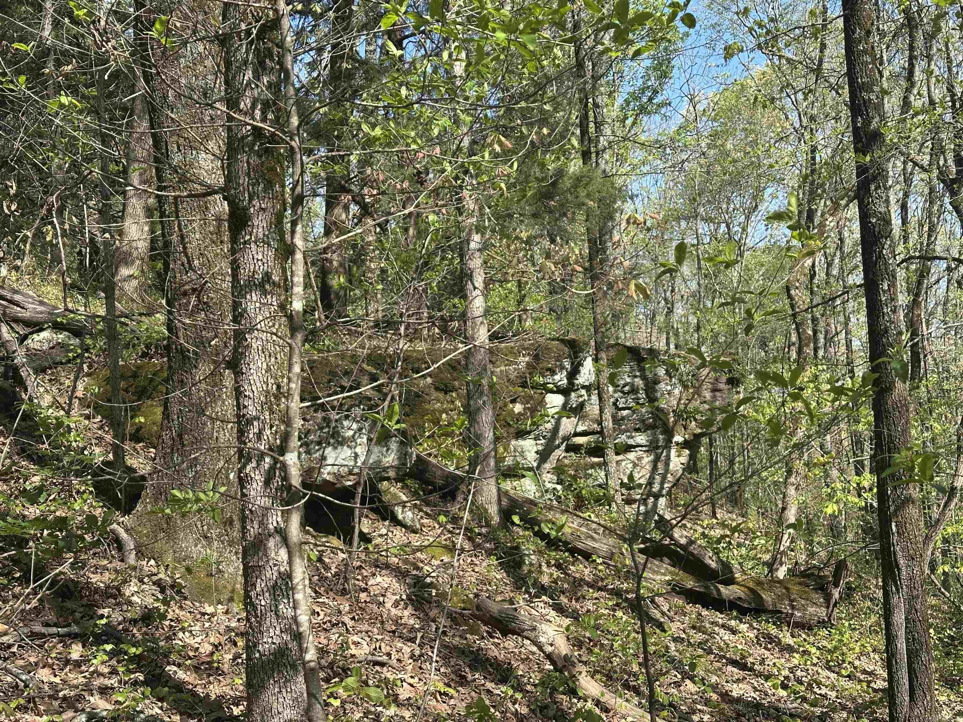 000 Hwy 310 Highway Property Photo 21