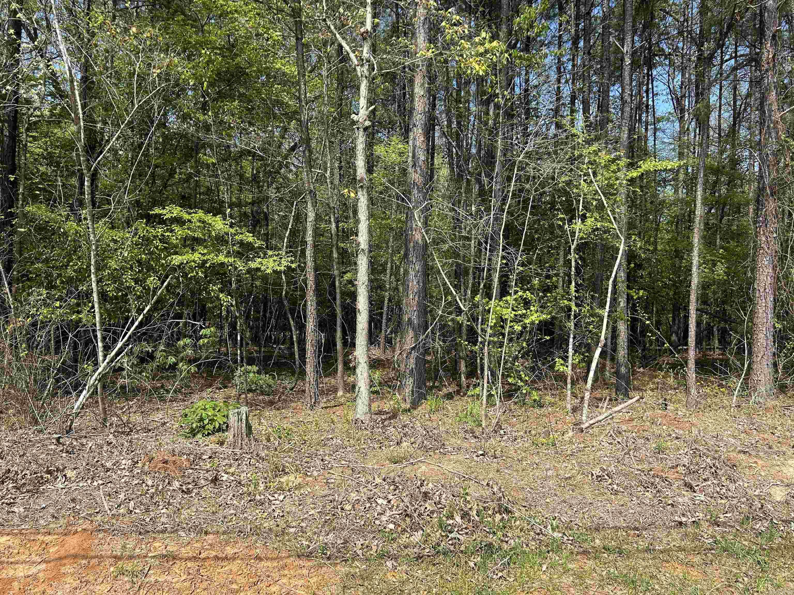 0 Gum Street (tract 2) Property Photo 4