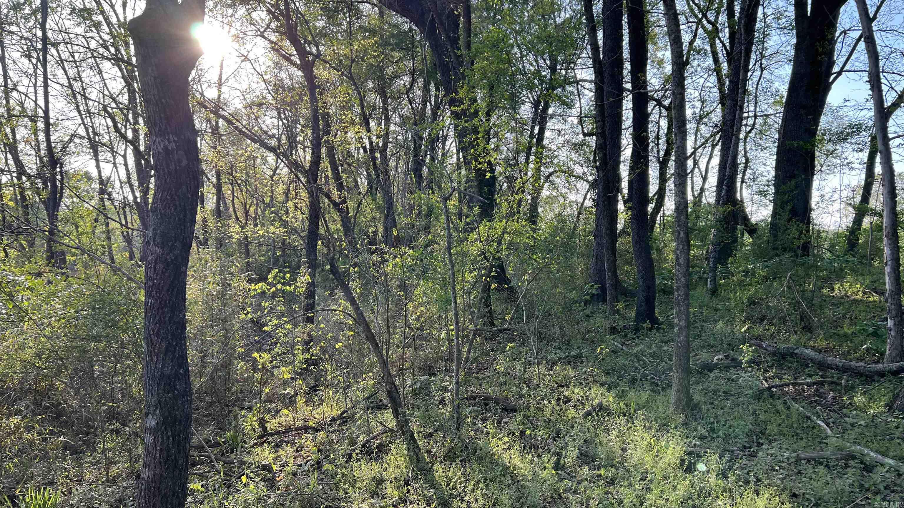 000 State Highway 155 S Property Photo 16