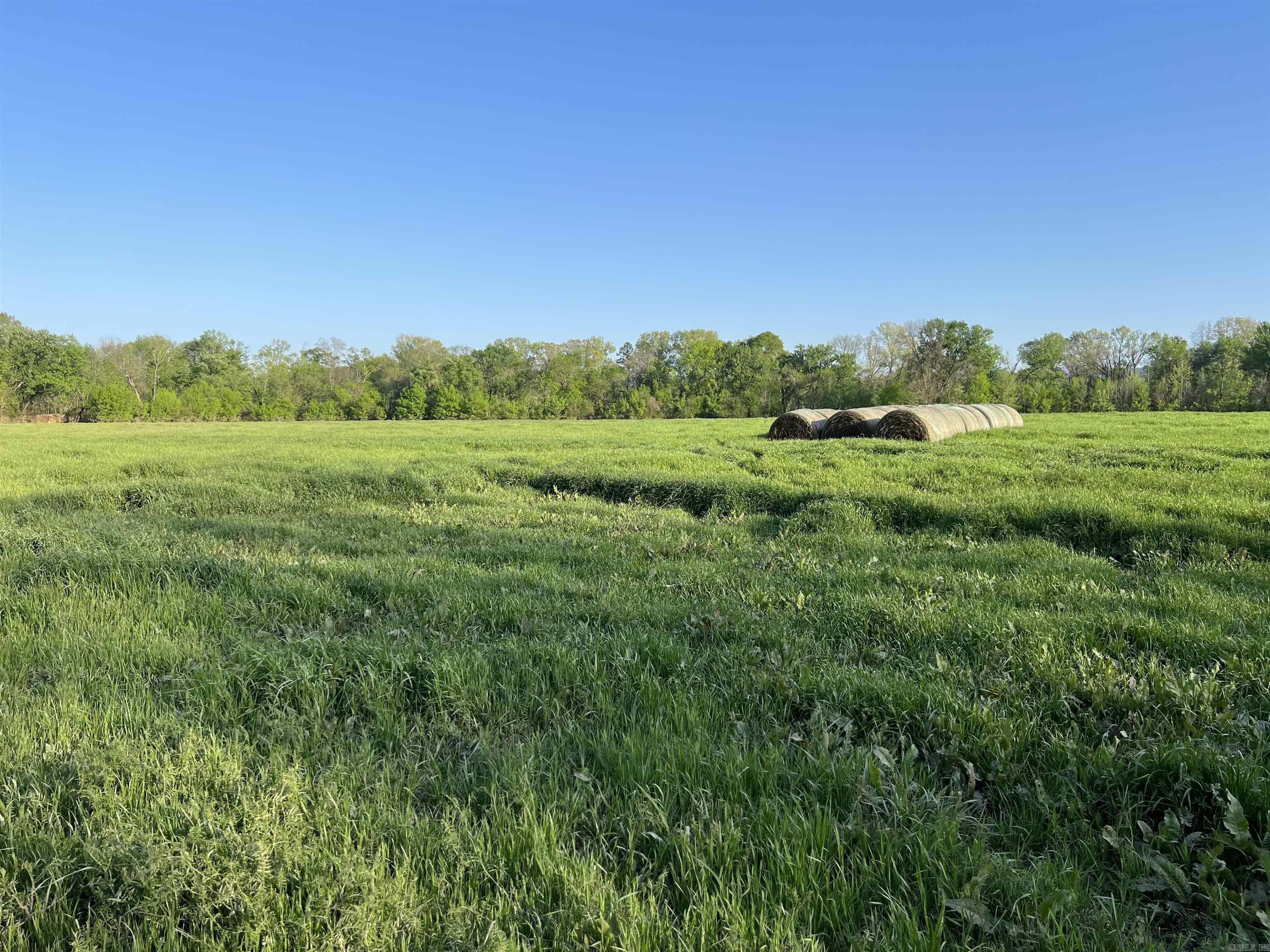 000 State Highway 155 S Property Photo 20