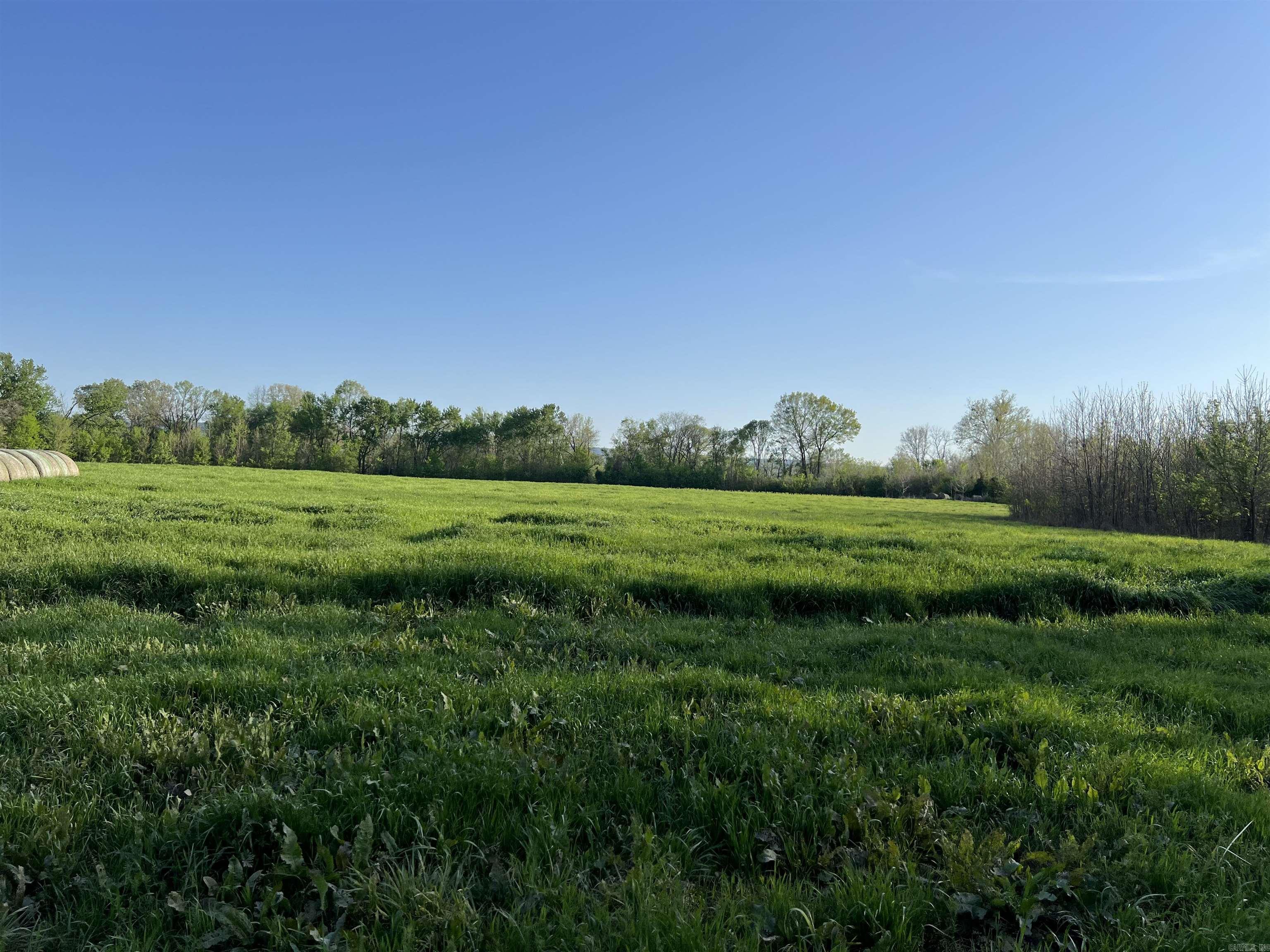 000 State Highway 155 S Property Photo 21