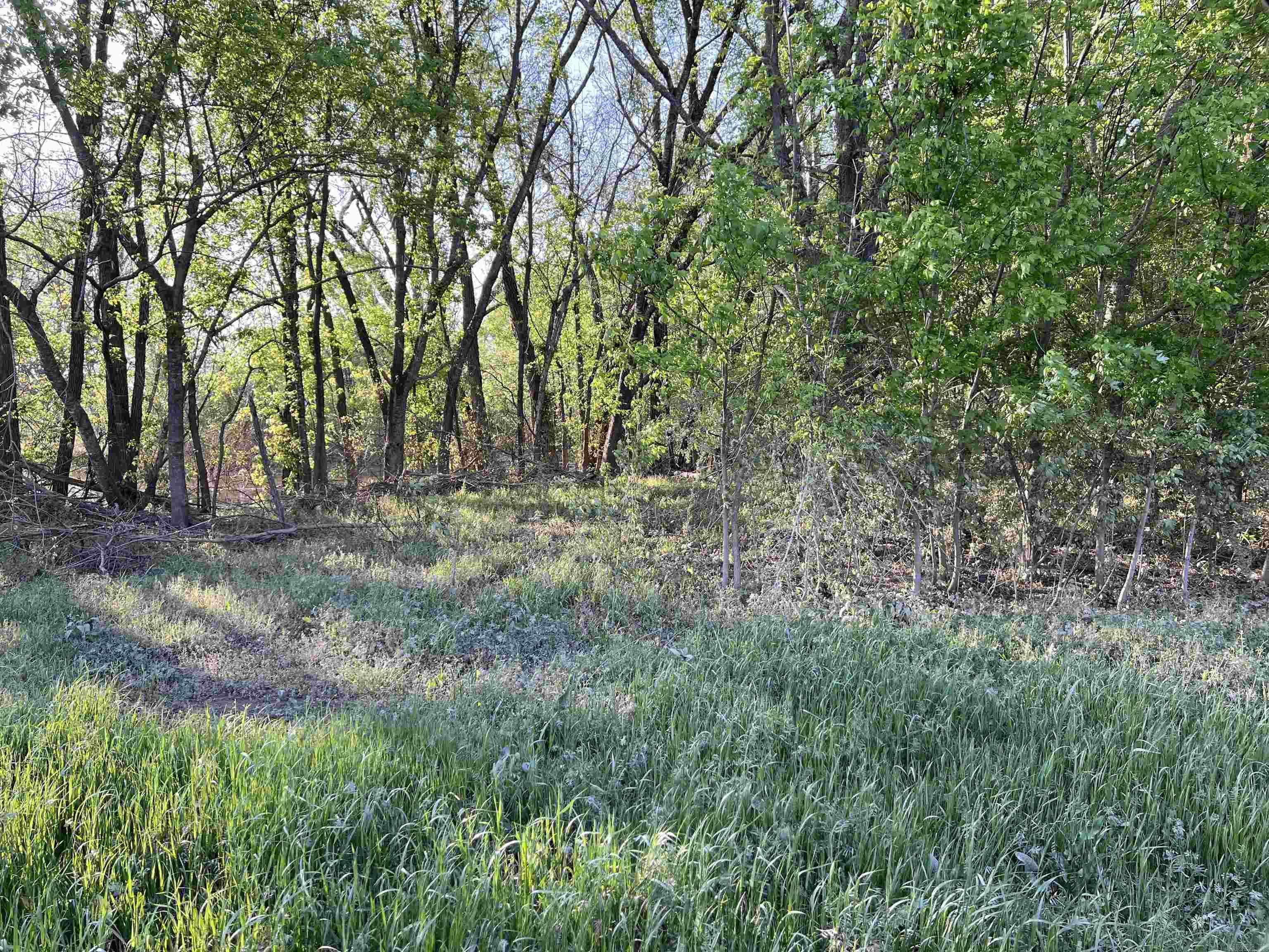 000 State Highway 155 S Property Photo 24