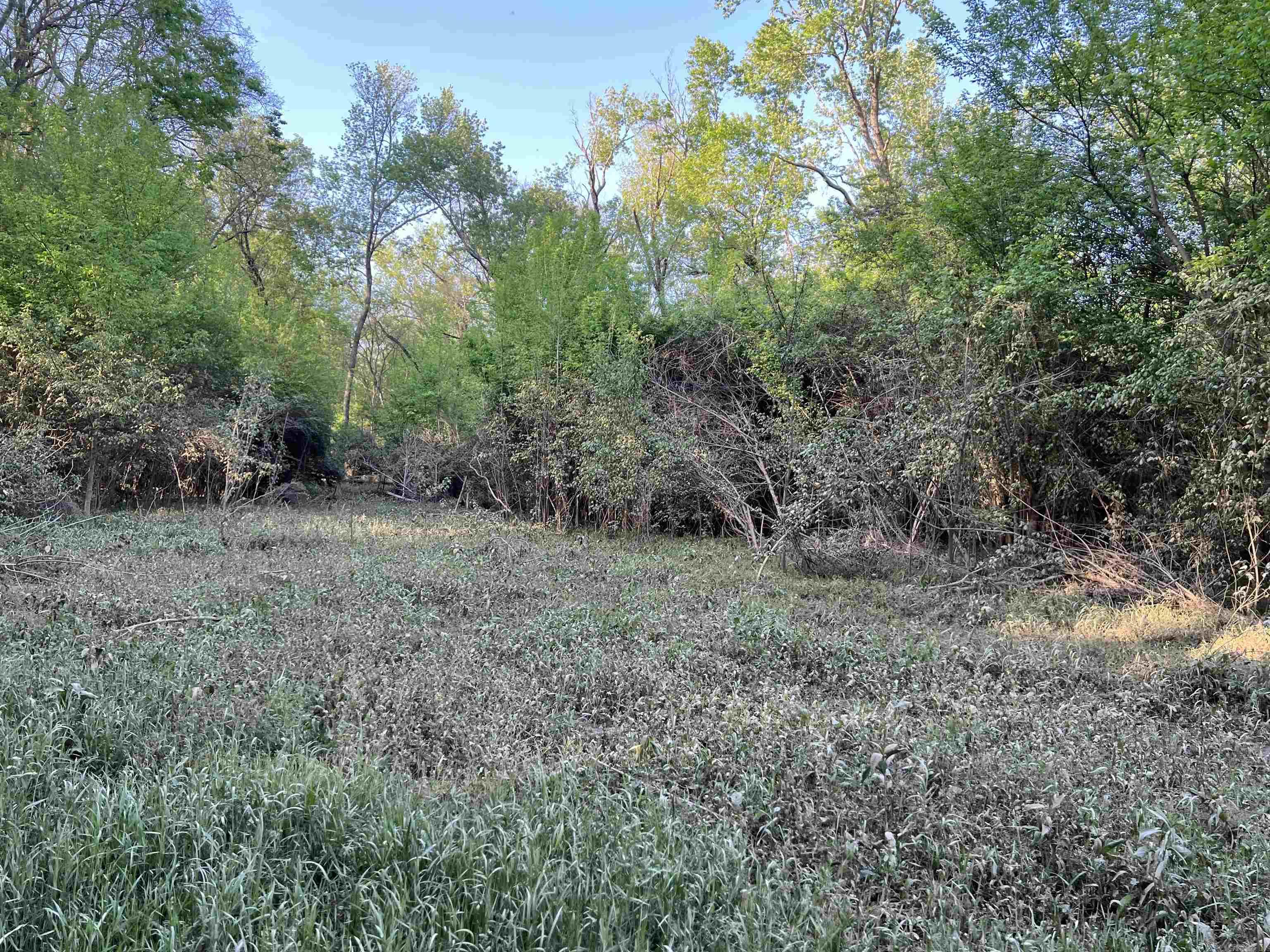 000 State Highway 155 S Property Photo 28