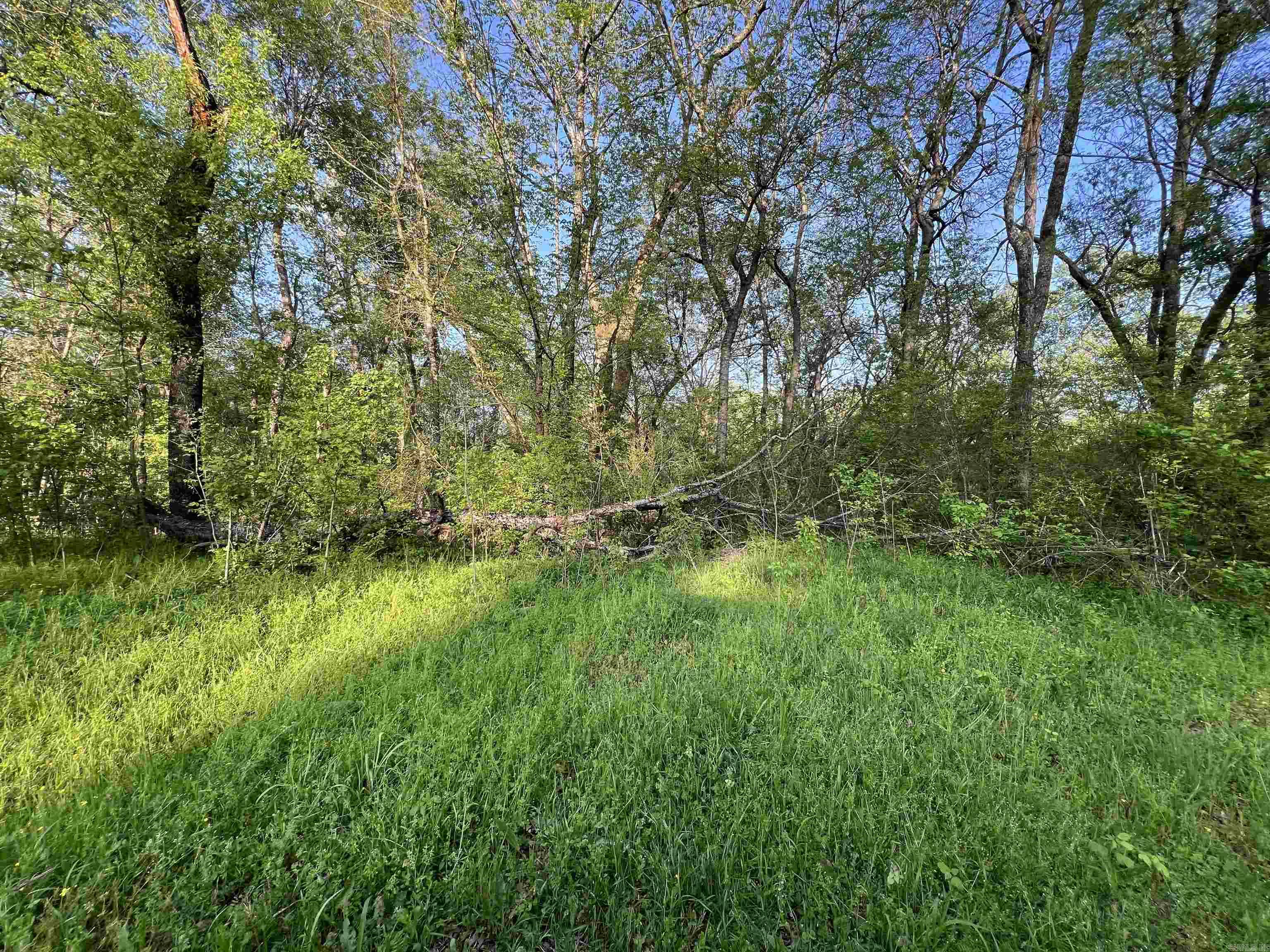 000 State Highway 155 S Property Photo 29
