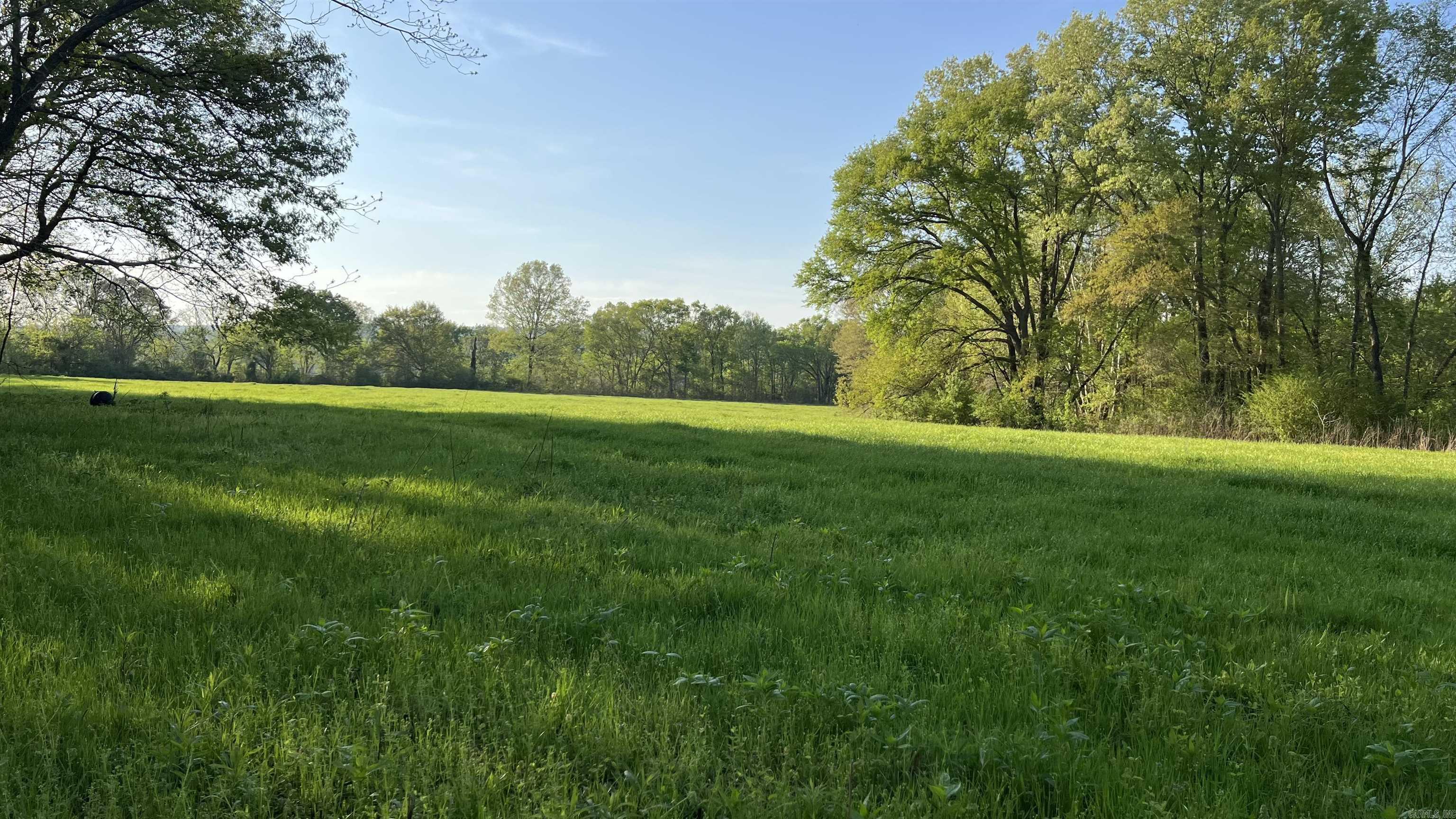 000 State Highway 155 S Property Photo 31