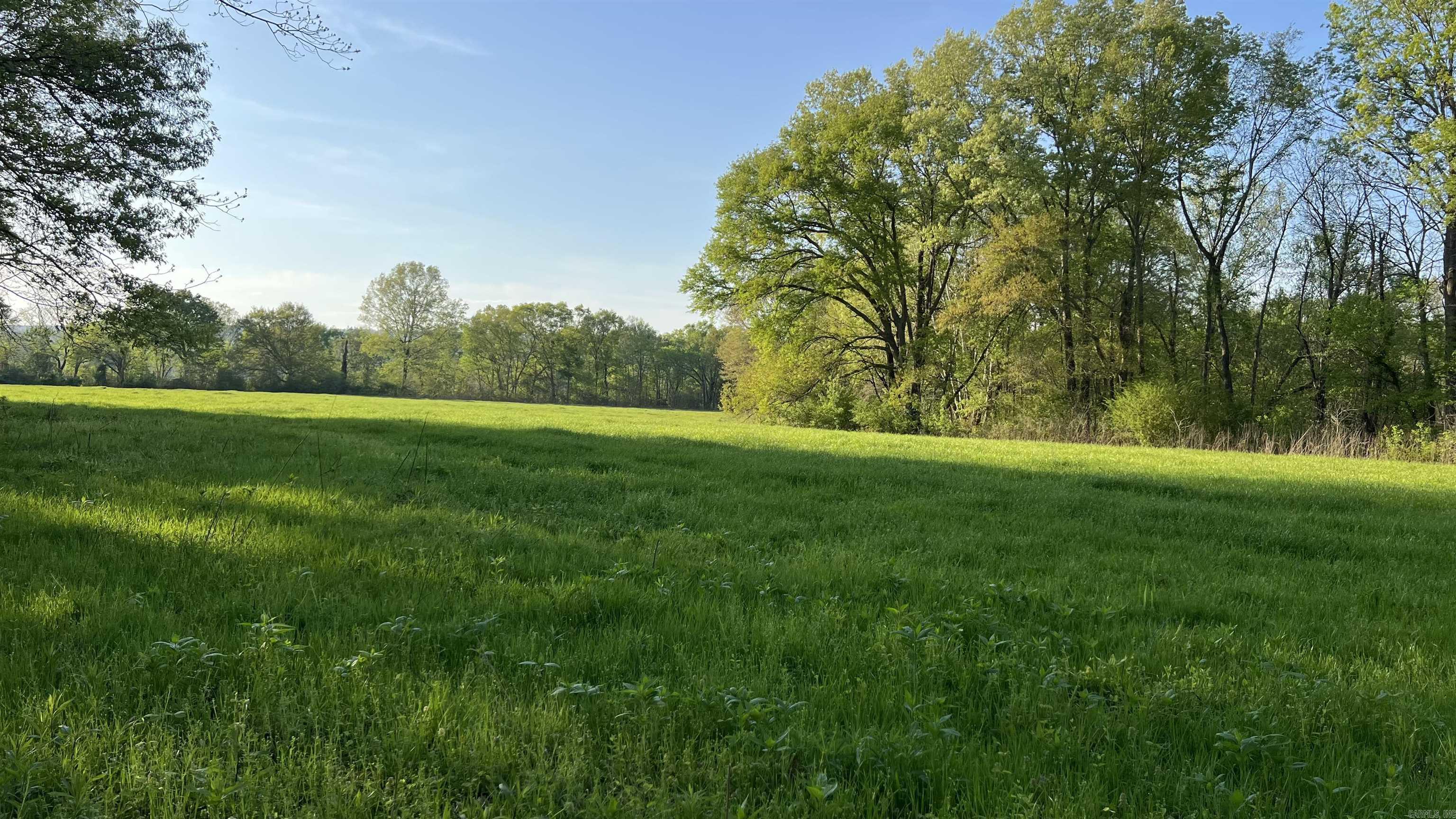 000 State Highway 155 S Property Photo 32