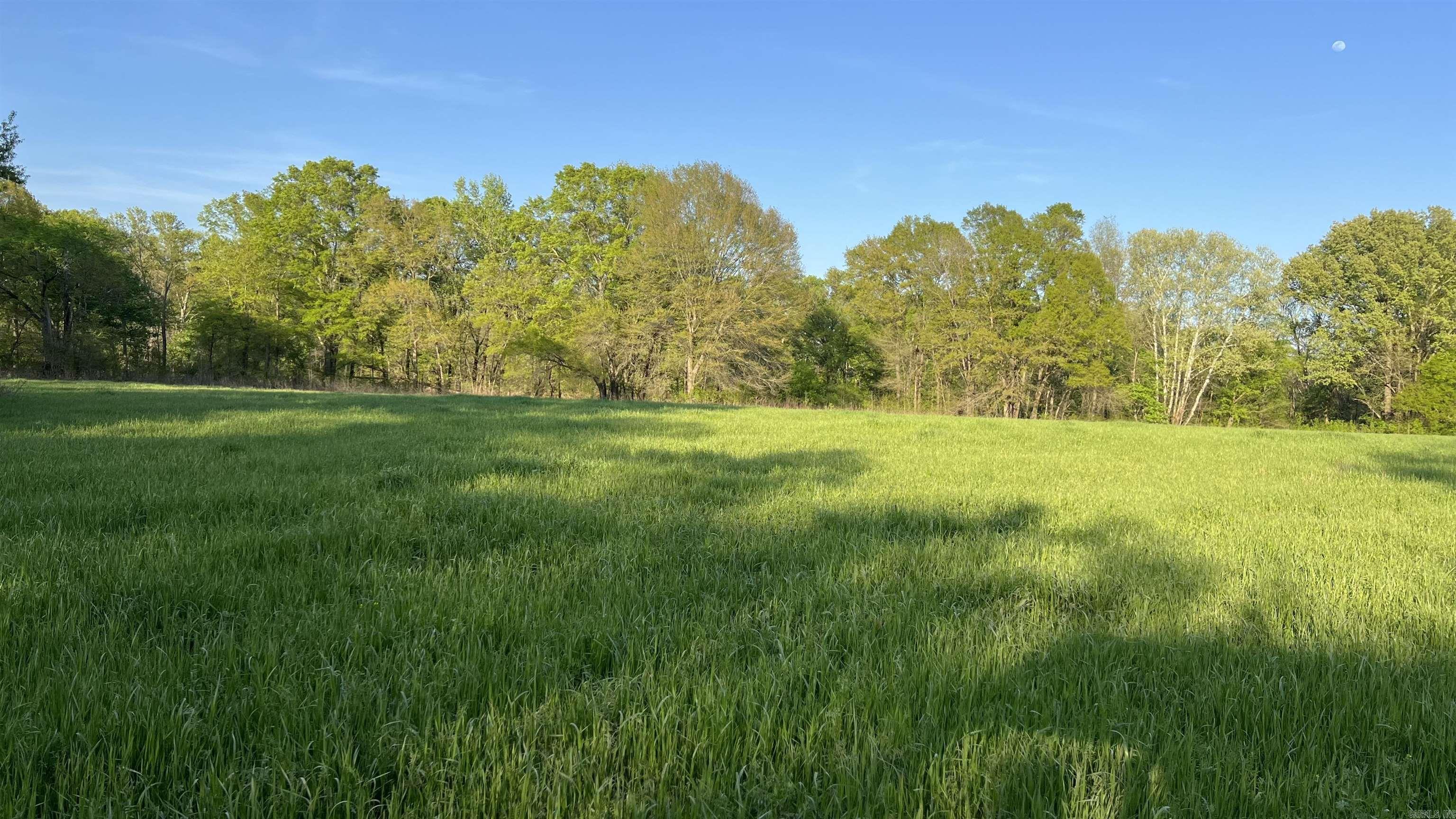 000 State Highway 155 S Property Photo 35
