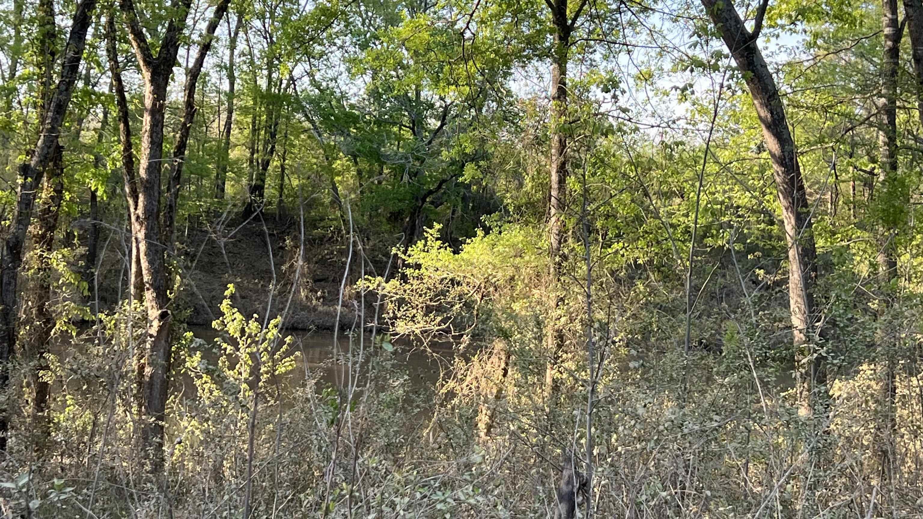 000 State Highway 155 S Property Photo 37