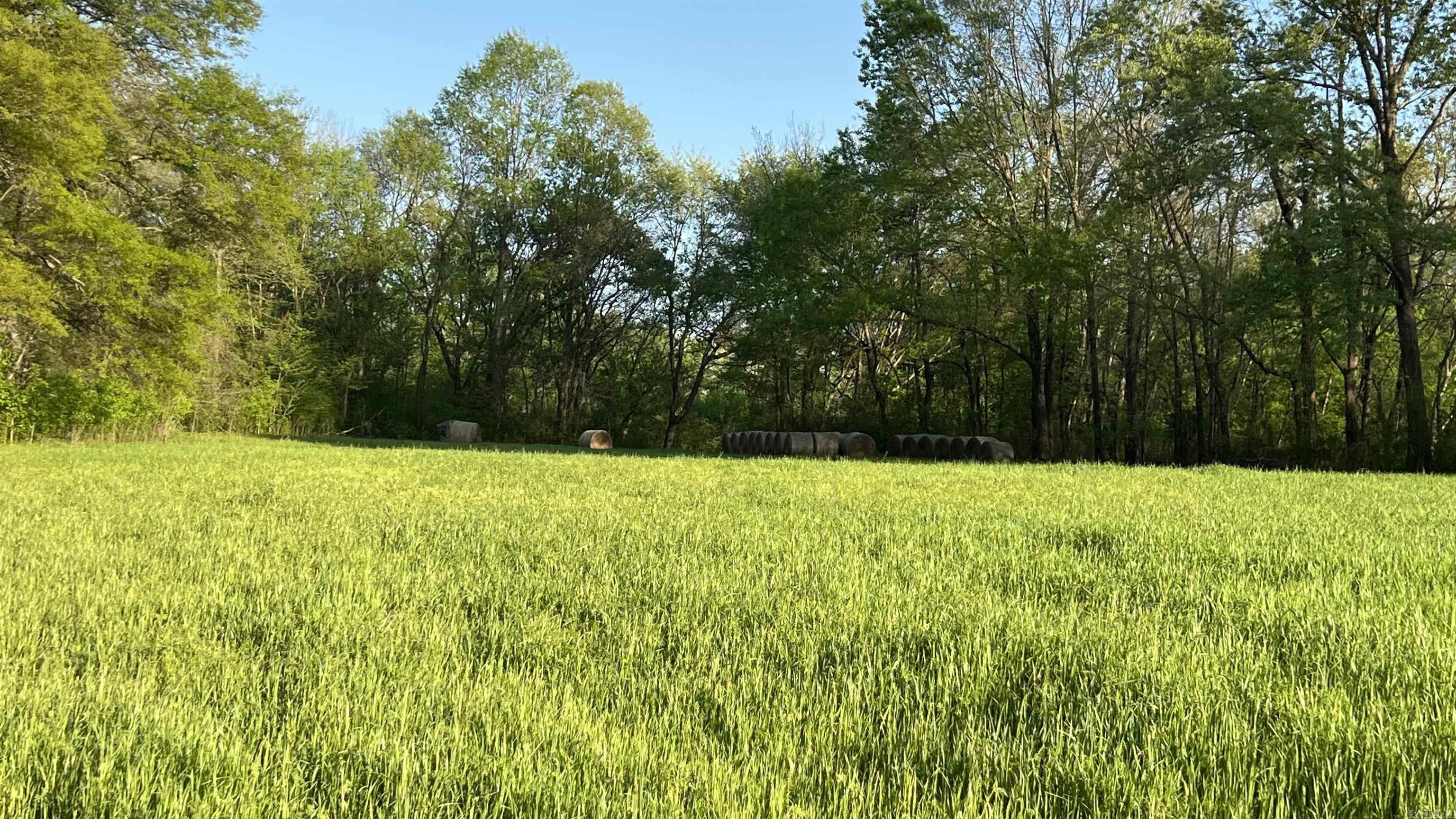 000 State Highway 155 S Property Photo 38